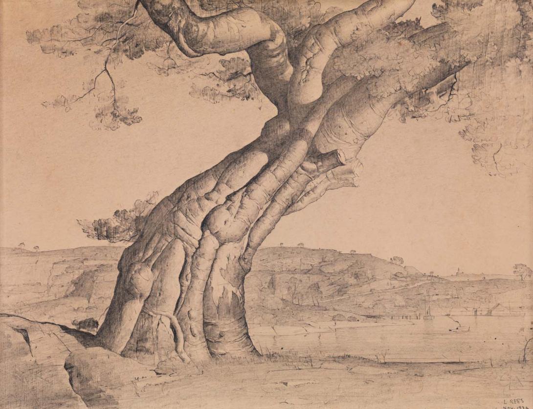 Artwork McMahon's Point fig tree (Sydney) this artwork made of Pencil on cream wove paper, created in 1934-01-01