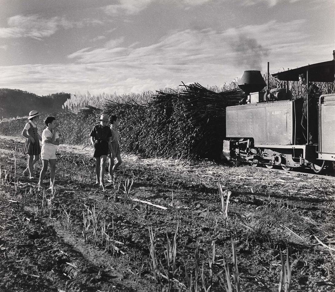 Artwork Children with cane train, Herbert River, Queensland this artwork made of Gelatin silver photograph on paper, created in 1953-01-01