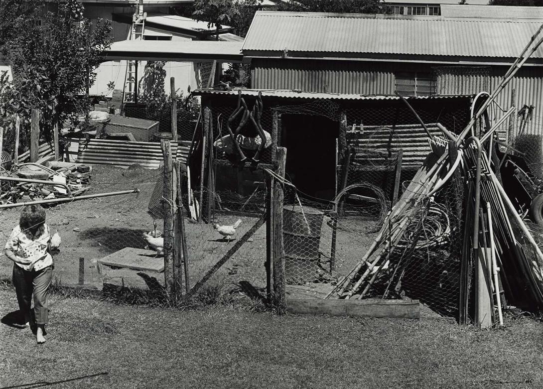 Artwork 27 December 1986, Ingham - Marlene had thrown some scraps to the chooks (from 'Journeys north' portfolio) this artwork made of Gelatin silver photograph on paper, created in 1986-01-01