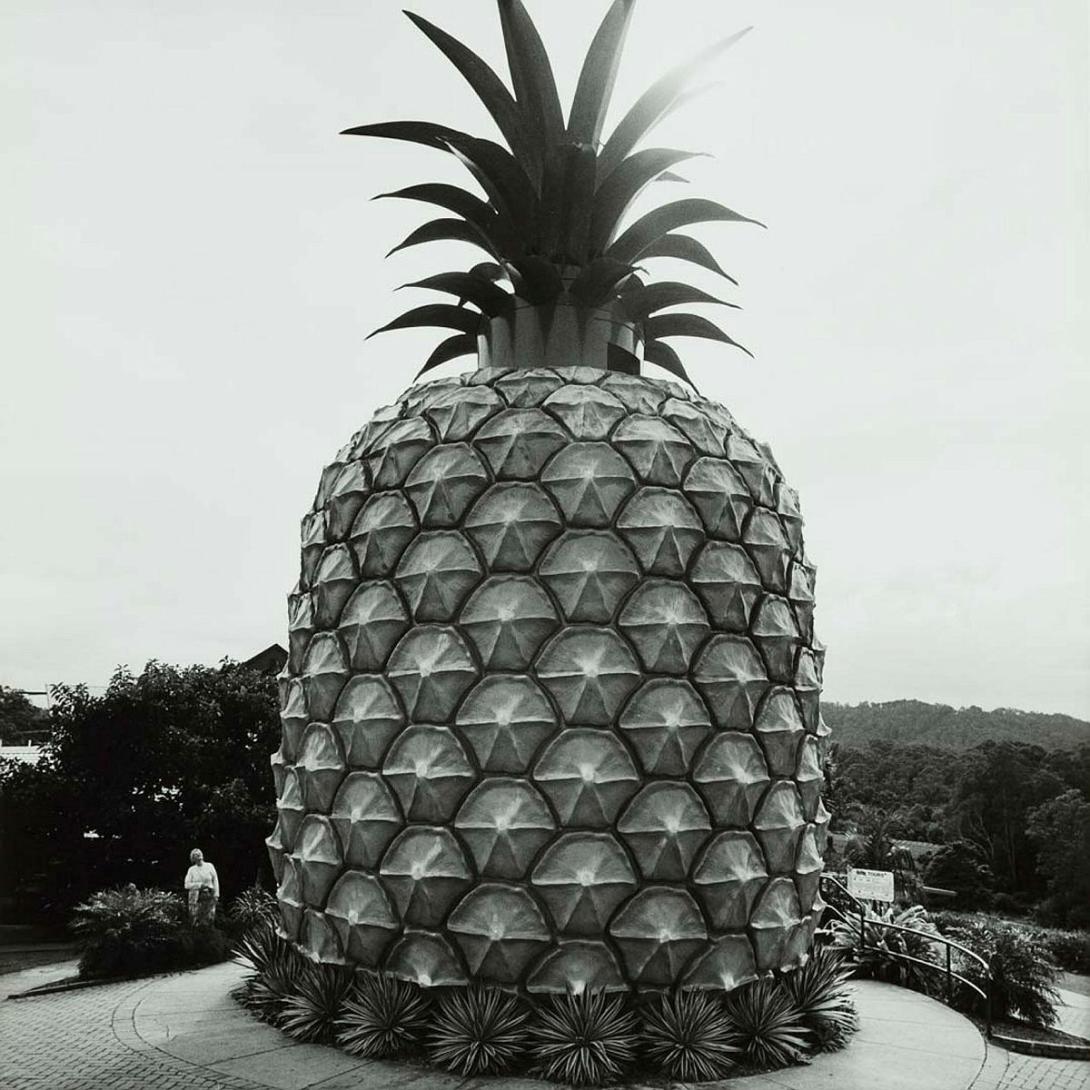 Artwork The Big Pineapple, near Nambour (from 'Journeys north' portfolio) this artwork made of Gelatin silver photograph on paper, created in 1986-01-01