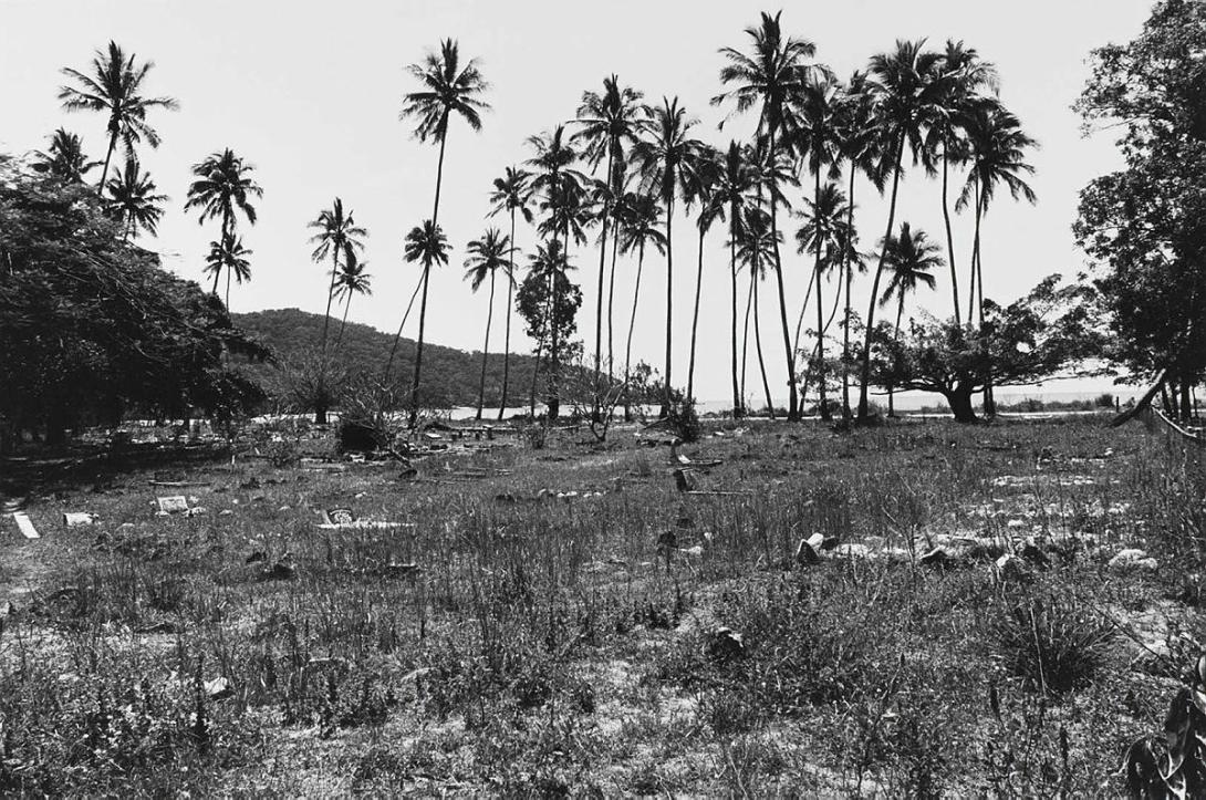Artwork Palms and graveyard, Yarrabah, NQ (from 'Journeys north' portfolio) this artwork made of Gelatin silver photograph on paper, created in 1986-01-01