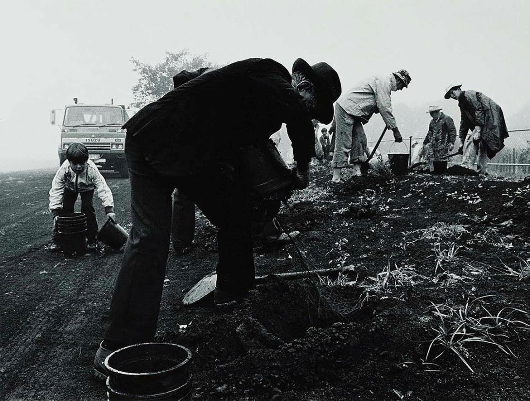Artwork Tree planting, Toowoomba (from 'Journeys north' portfolio) this artwork made of Gelatin silver photograph on paper, created in 1986-01-01