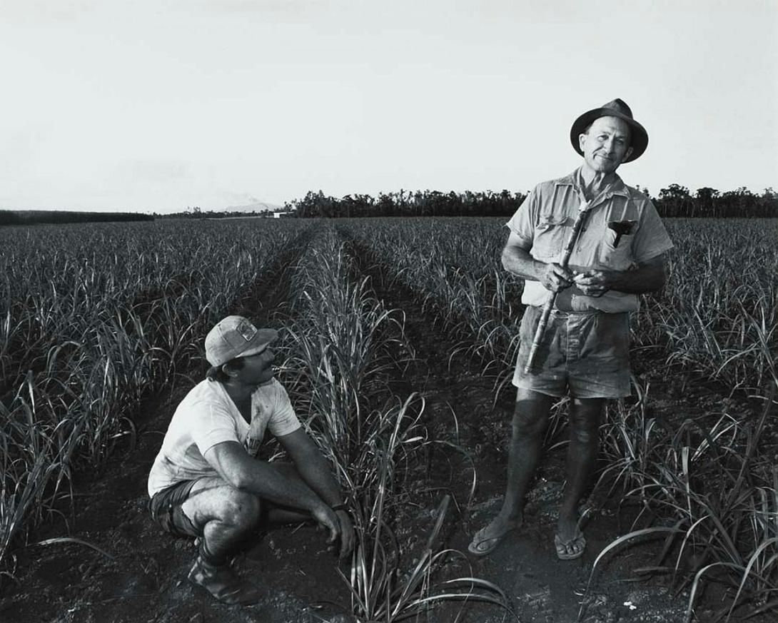 Artwork Frank Accatino, cane farmer, Moresby (from 'Journeys north' portfolio) this artwork made of Gelatin silver photograph on paper, created in 1986-01-01