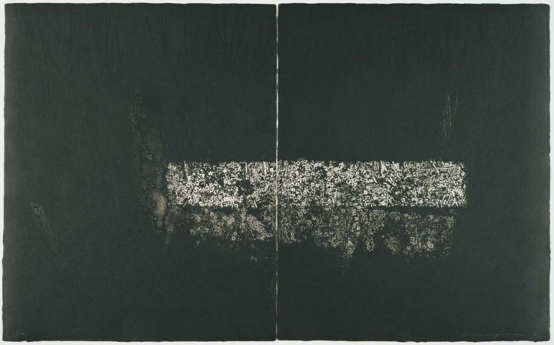 Artwork Transposition '87 - Ground IV this artwork made of Etching and aquatint on paper, created in 1987-01-01