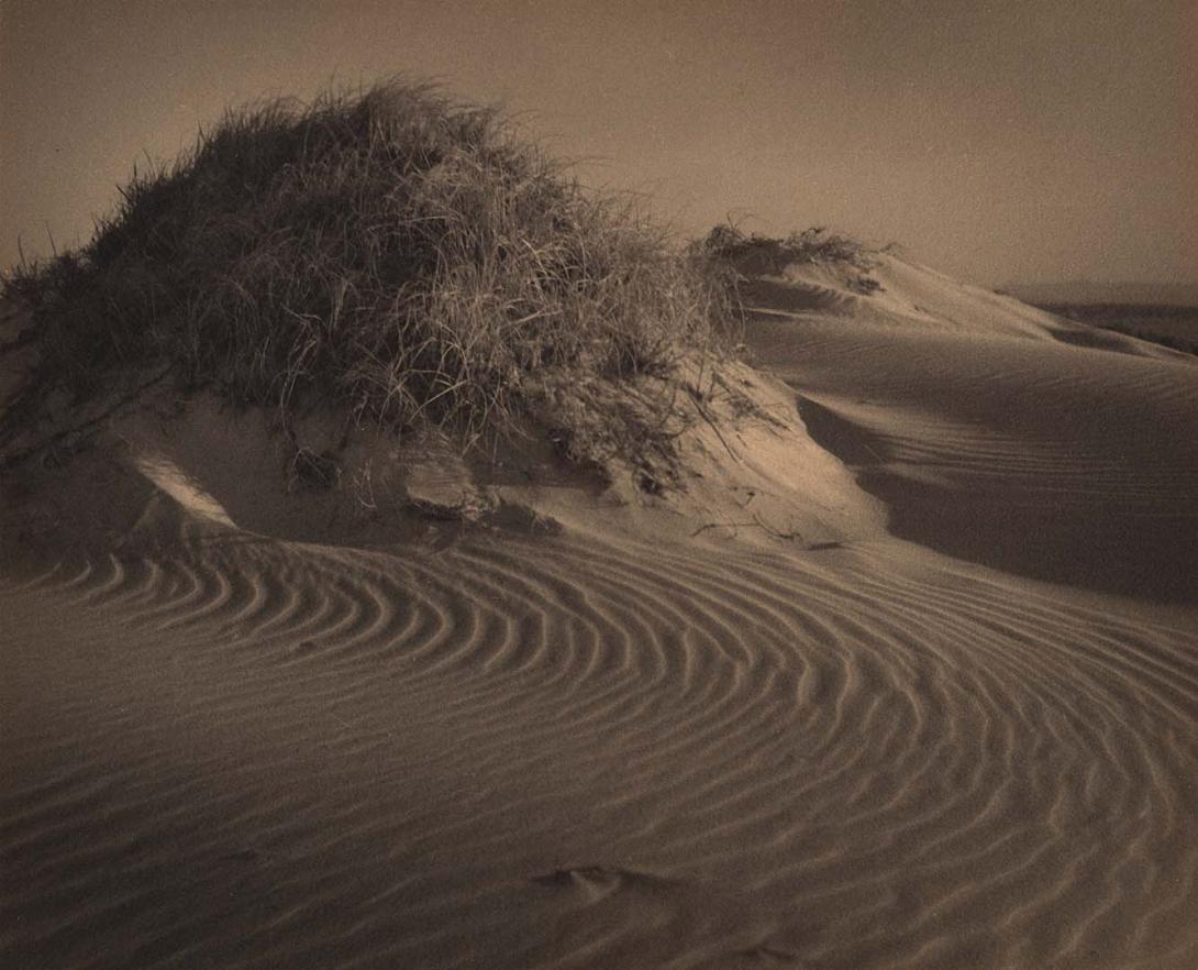 Artwork Sandhills this artwork made of Gelatin silver photograph on paper, created in 1920-01-01
