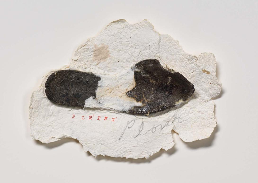 Artwork Shoe part (Piping Plover) this artwork made of Shoe part embedded in handmade paper, created in 1997-01-01