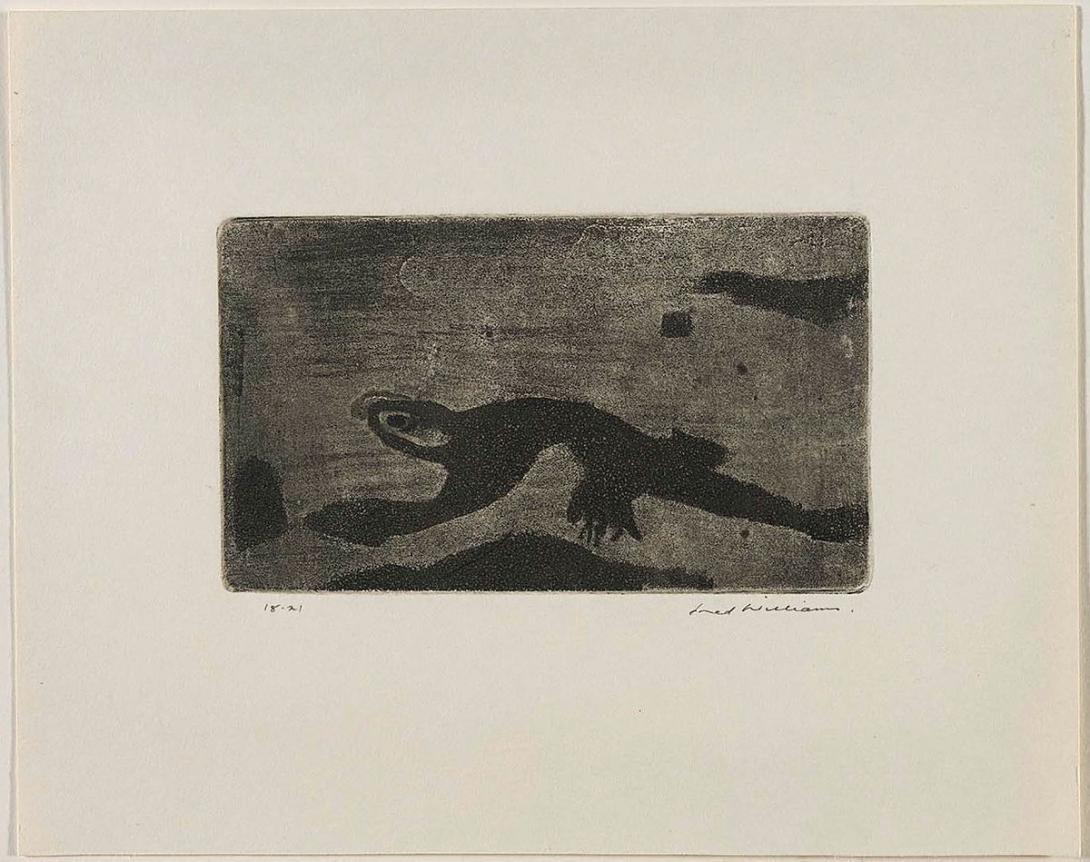 Artwork Lizard this artwork made of Aquatint and engraving on paper, created in 1958-01-01