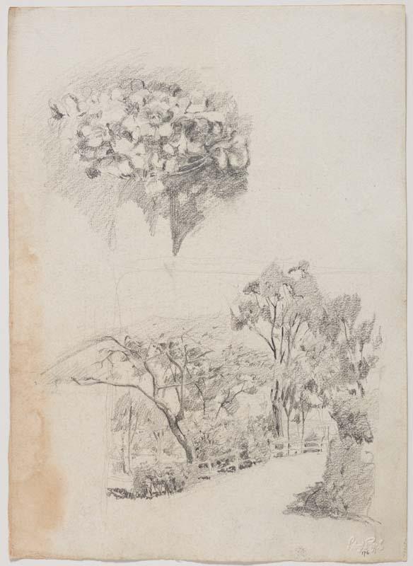 Artwork (Two studies - vase of flowers and driveway at Cowlishaw's) this artwork made of Pencil on paper, created in 1914-01-01