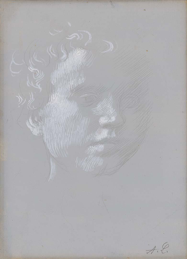 Artwork (Head of a small boy) this artwork made of Metal point with opaque white on toned wove paper, created in 1855-01-01
