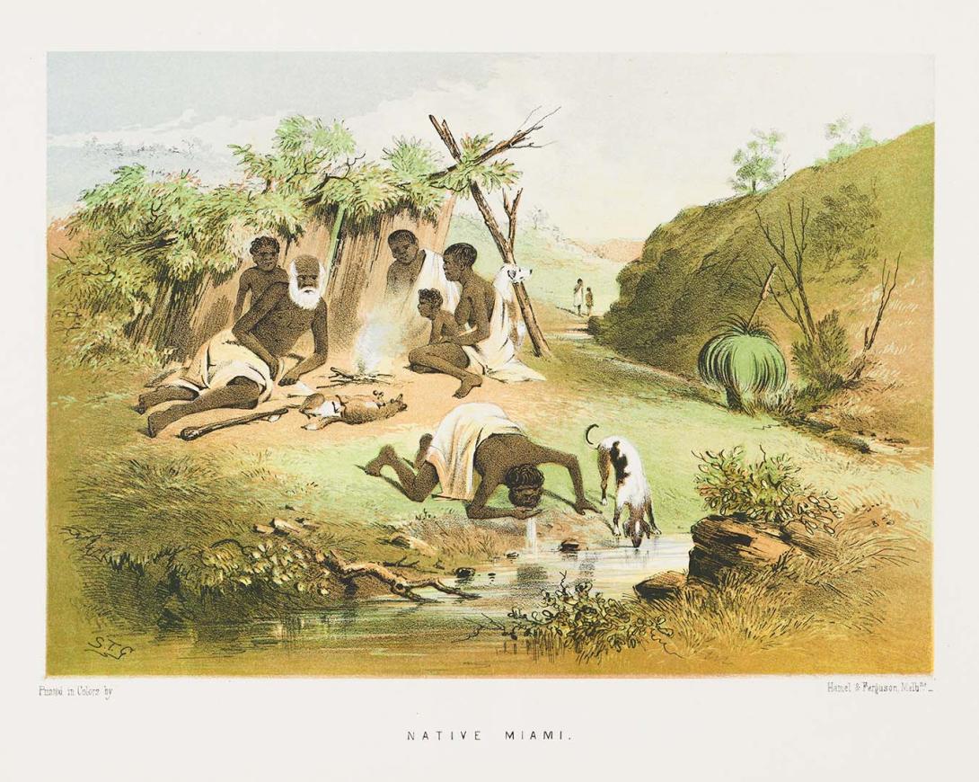 Artwork Native miami (hut) (from 'The Australian sketchbook') this artwork made of Colour lithograph on smooth wove paper, created in 1865-01-01