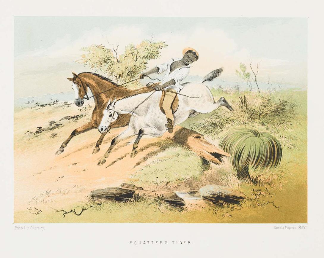 Artwork Squatter's tiger (from 'The Australian sketchbook') this artwork made of Colour lithograph on smooth wove paper, created in 1865-01-01