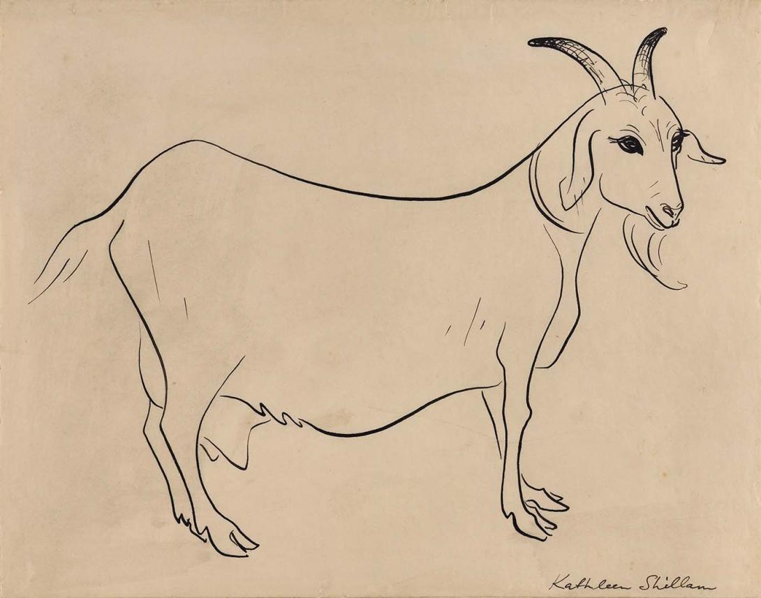 Artwork Goat this artwork made of Pen and ink on thin wove paper, created in 1951-01-01