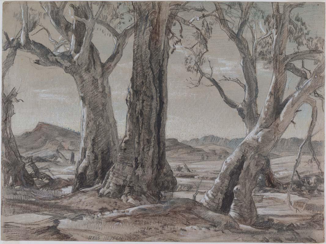 Artwork Northern gums study this artwork made of Charcoal, pencil and coloured chalks