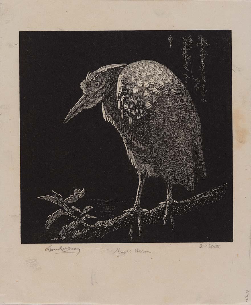 Artwork Night heron this artwork made of Wood engraving on thin smooth laid India paper, created in 1935-01-01