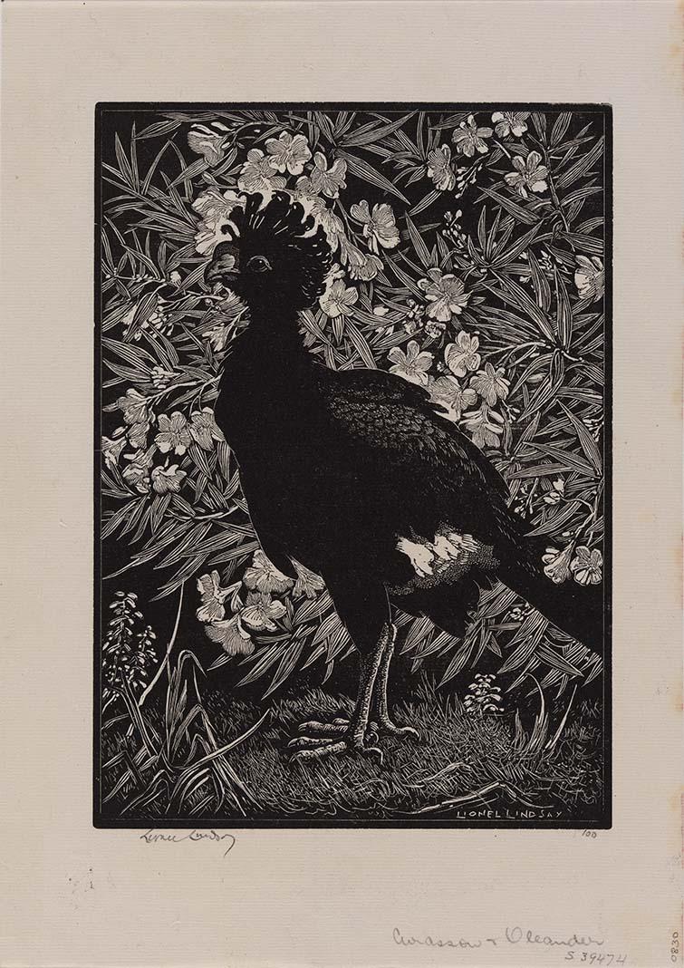 Artwork Curassow and oleander this artwork made of Woodcut on paper, created in 1932-01-01