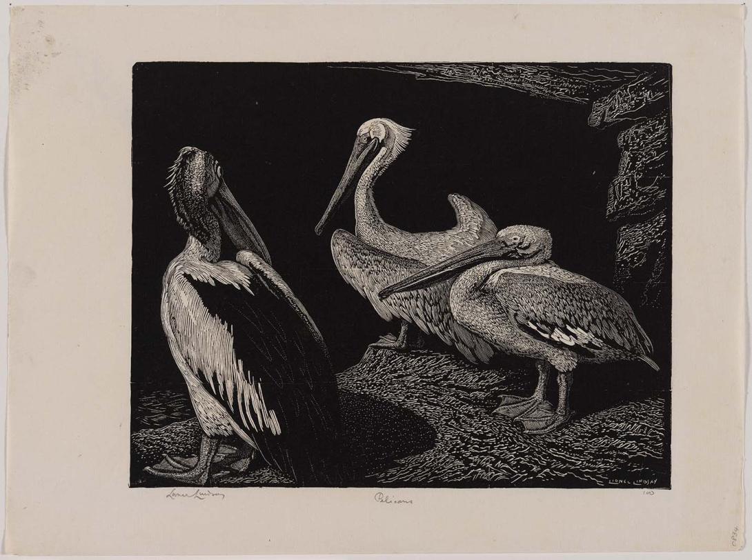 Artwork Pelicans this artwork made of Wood engraving and woodcut on thin smooth laid India paper, created in 1938-01-01