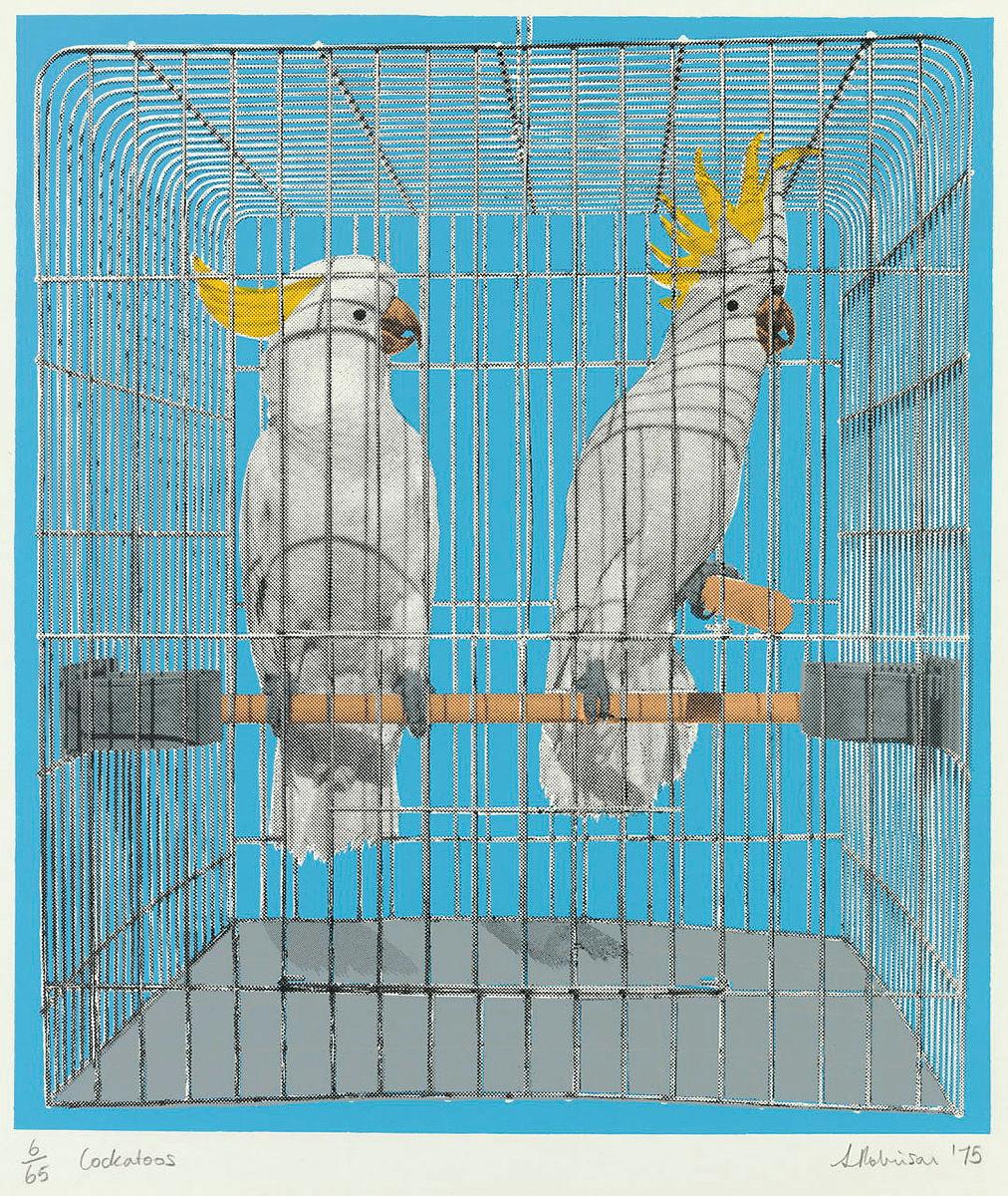 Artwork Cockatoos this artwork made of Screenprint on wove paper, created in 1975-01-01
