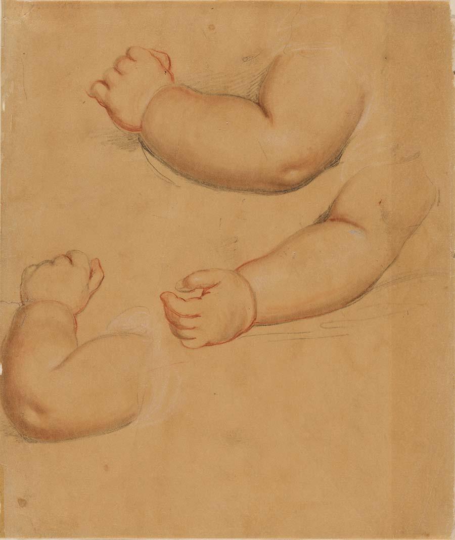 Artwork Untitled (studies of a baby's arm) this artwork made of Black, red and white chalks and wash on thin brown prepared wove paper, created in 1789-01-01