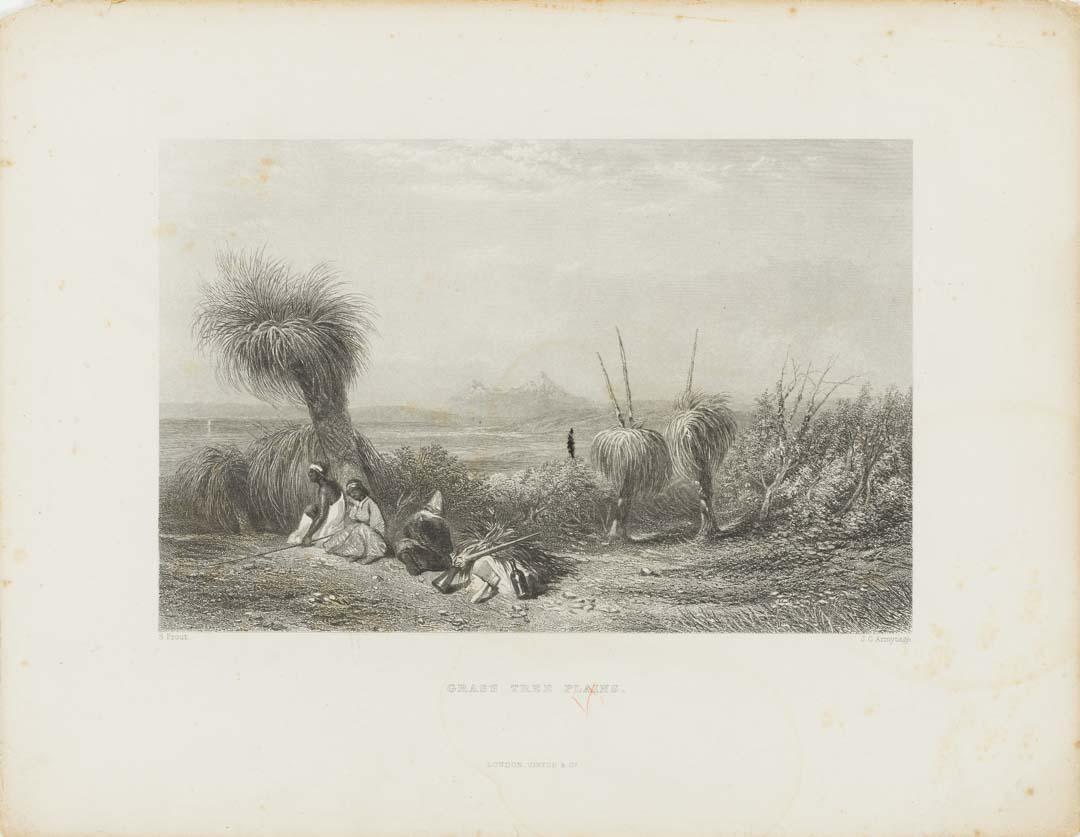 Artwork Grass tree plains (no. 18 from 'Australia' series) this artwork made of Etching and engraving on thick cream wove paper, created in 1870-01-01