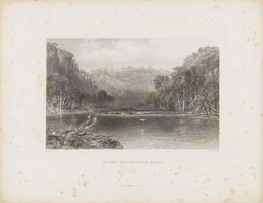 Artwork On the Cow Pasture River (no. 65 from 'Australia' series) this artwork made of Etching and engraving on thick wove paper, created in 1870-01-01