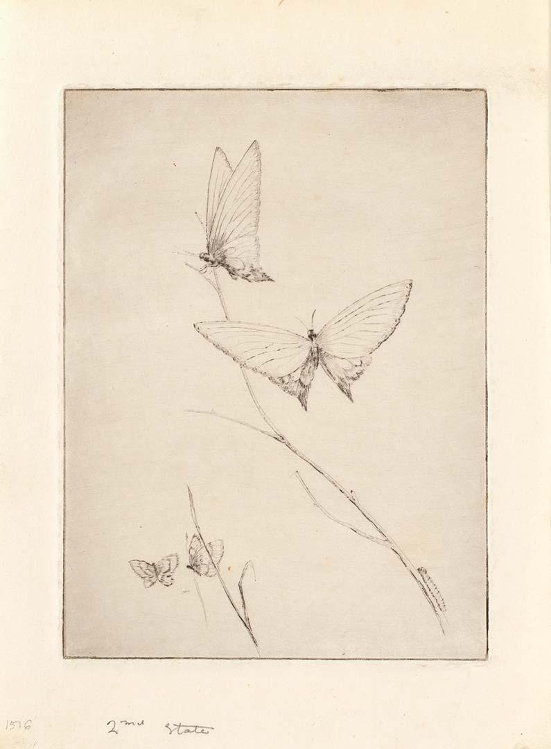 Artwork Butterflies this artwork made of Drypoint on off-white, handmade, wove paper, created in 1944-01-01