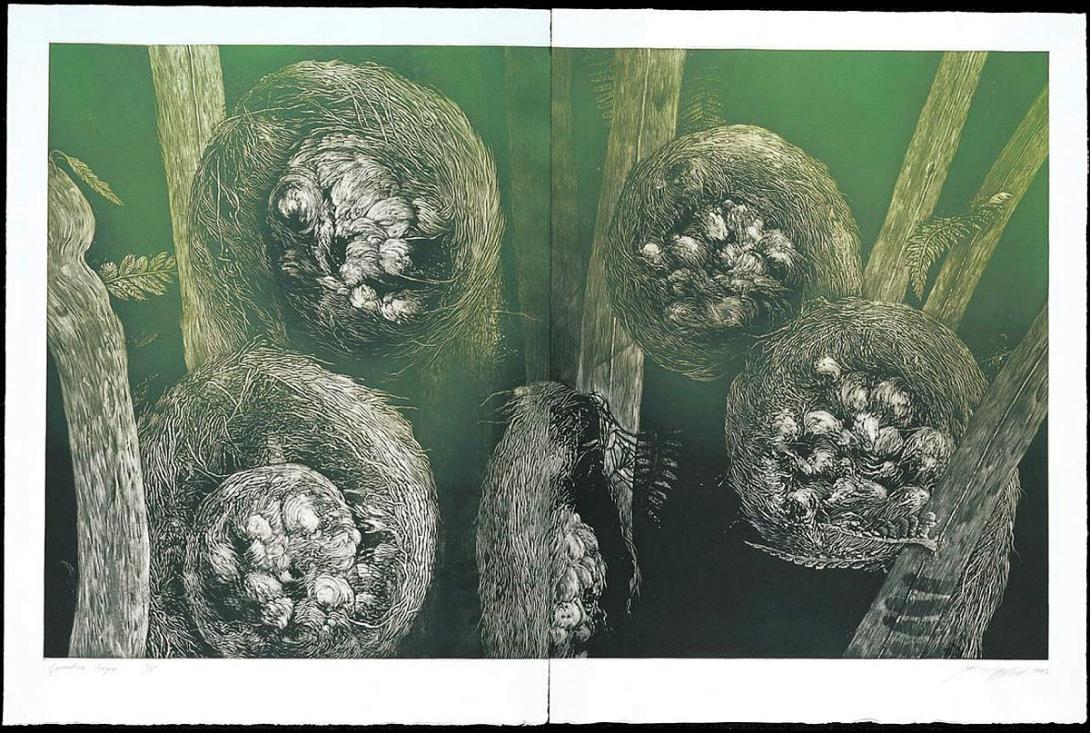 Artwork Cyathea cooperi this artwork made of Mezzotint on paper, created in 2002-01-01