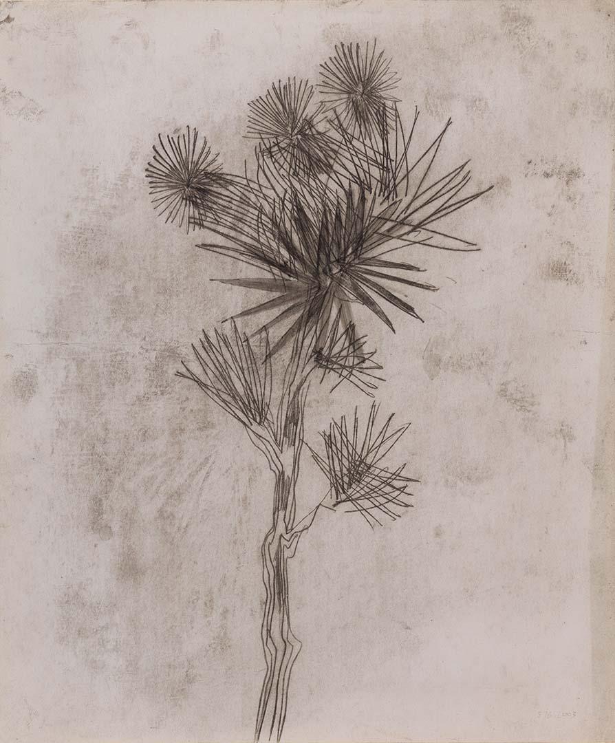 Artwork Bottle brush this artwork made of Carbon transfer drawing on paper, created in 1949-01-01