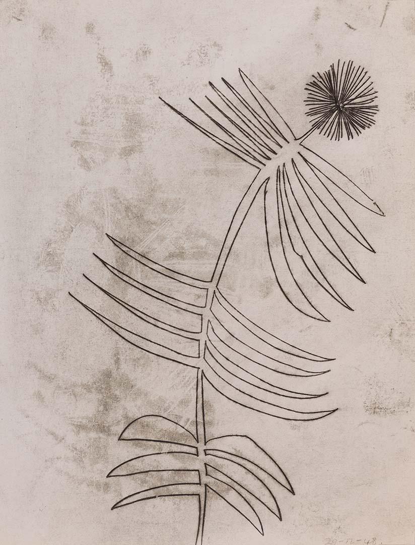 Artwork Flower this artwork made of Carbon transfer drawing on paper, created in 1948-01-01