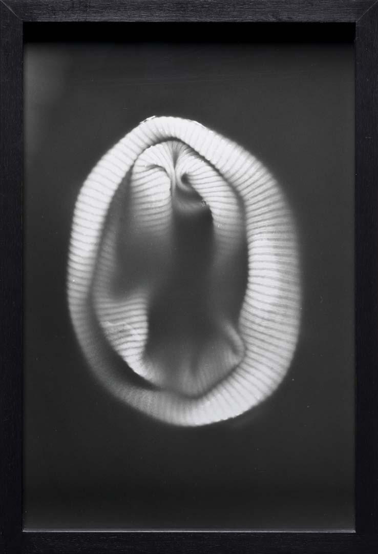 Artwork Murky probe (from 'Pond' series) this artwork made of Gelatin silver photograph on paper, created in 1995-01-01