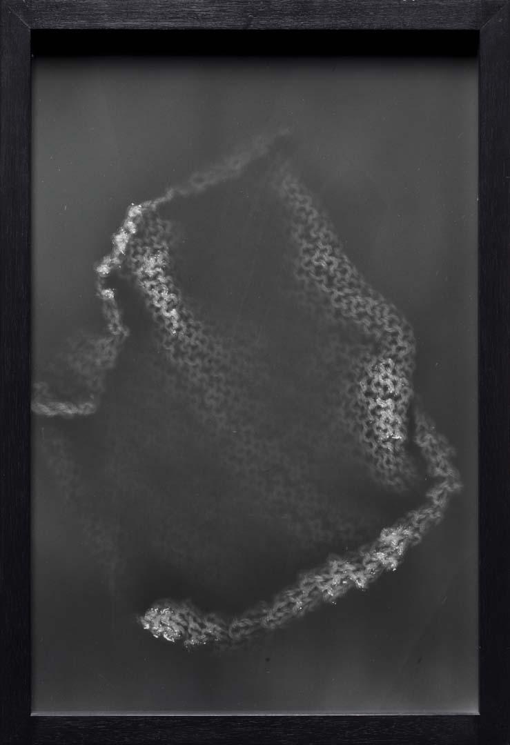 Artwork Swollen purl (from 'Pond' series) this artwork made of Gelatin silver photograph on paper, created in 1995-01-01