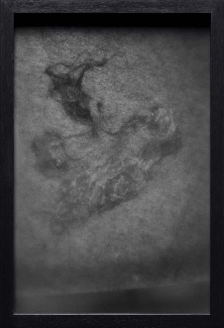 Artwork Oxygen throb (from 'Pond' series) this artwork made of Gelatin silver photograph on paper, created in 1995-01-01