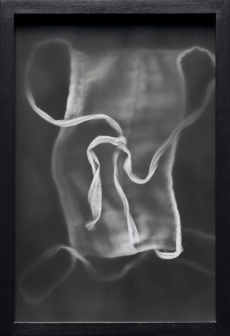 Artwork Detox vein (from 'Pond' series) this artwork made of Gelatin silver photograph on paper, created in 1995-01-01
