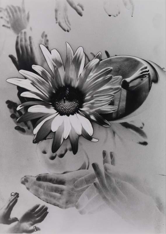 Artwork (Solarised hands and flowers) this artwork made of Gelatin silver photograph on paper