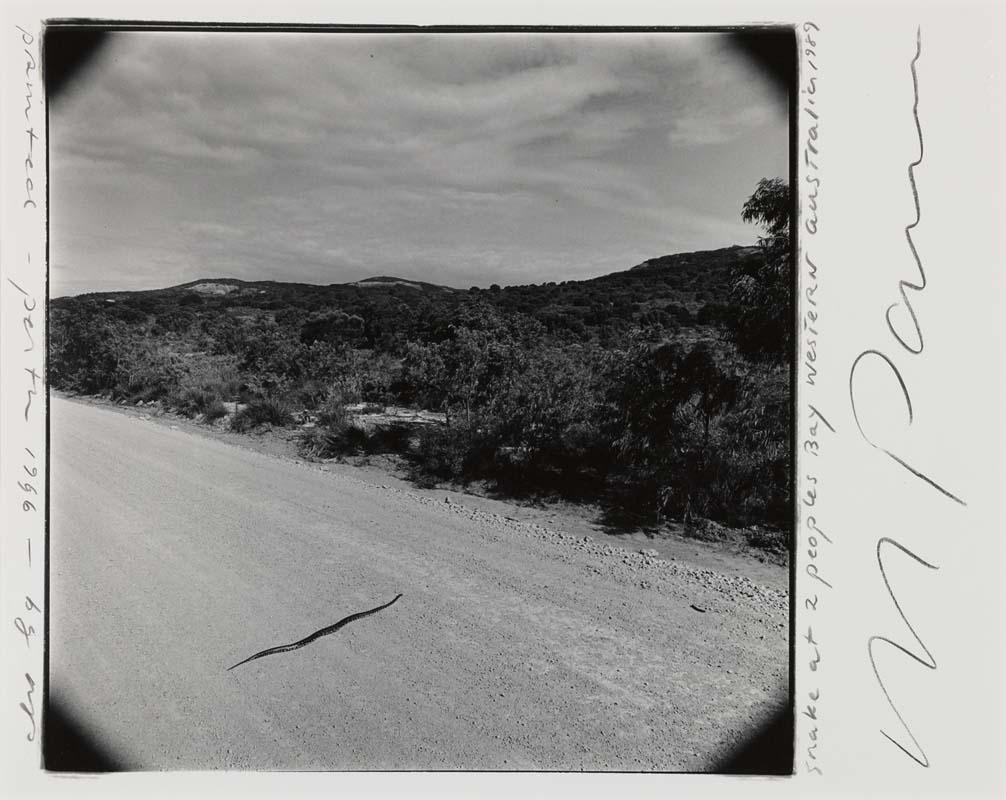 Artwork Snake, Two Peoples Bay, Western Australia (from 'Indian Ocean Journals') this artwork made of Gelatin silver photograph on paper, created in 1990-01-01