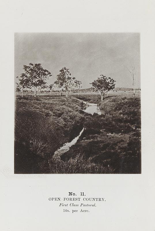 Artwork (Open forest country) (no. 11 from 'Images of Queensland' series) this artwork made of Autotype on paper, created in 1864-01-01