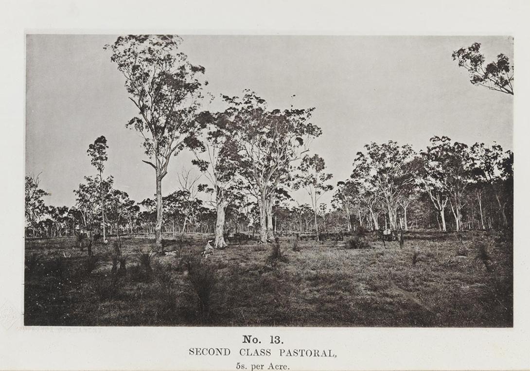 Artwork (Second class pastoral) (no. 13 from 'Images of Queensland' series) this artwork made of Autotype on paper, created in 1864-01-01