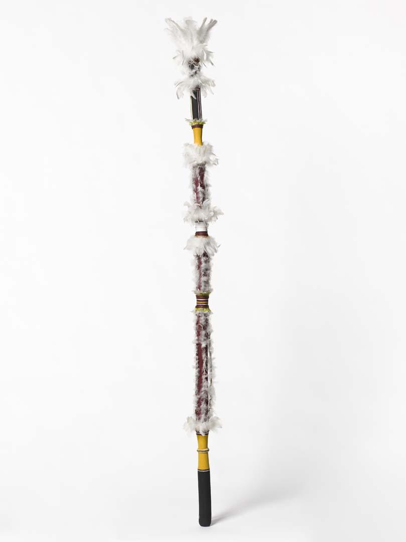 Artwork Banumbirr (Morning Star pole) this artwork made of Wood, bark fibre string, commercial feathers, feathers, synthetic polymer paint, created in 1999-01-01