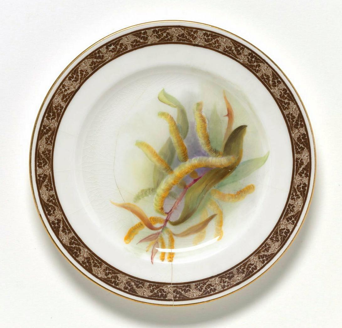 Artwork Cunningham wattle plate this artwork made of Porcelain, bone china with transfer printing and overglaze colours, created in 1926-01-01