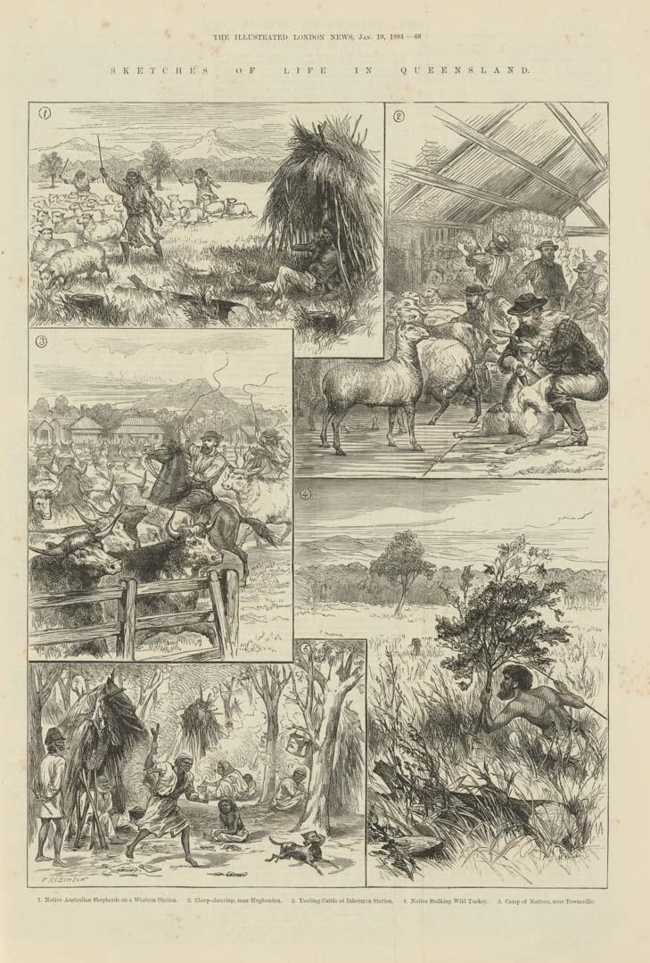 Artwork Sketches of life in Queensland: 
Native Australian shepherds on a western station; Sheep-shearing near Hughenden; Yarding cattle at Inkerman Station; Native stalking wild turkey; and Camp of natives, near Townsville (from 'The Illustrated London News' 19 this artwork made of Engraving on paper, created in 1884-01-01