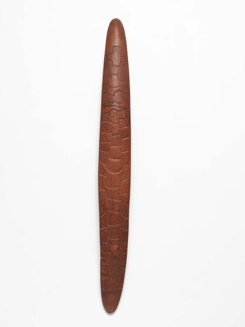 Artwork Parrying shield (Western Queensland) this artwork made of Carved and incised wood with natural pigments