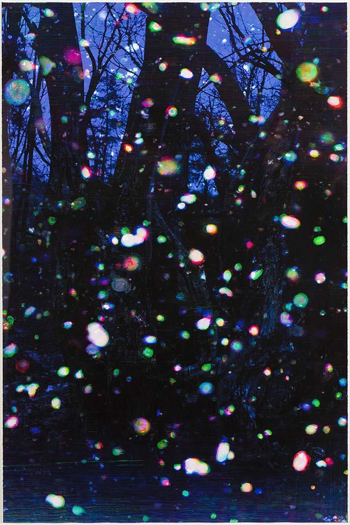Artwork Trees and snow III this artwork made of Digital pigment ink on paper, created in 2008-01-01
