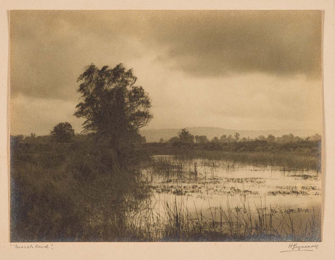 Artwork Marshland this artwork made of Bromoil photograph on paper, created in 1925-01-01