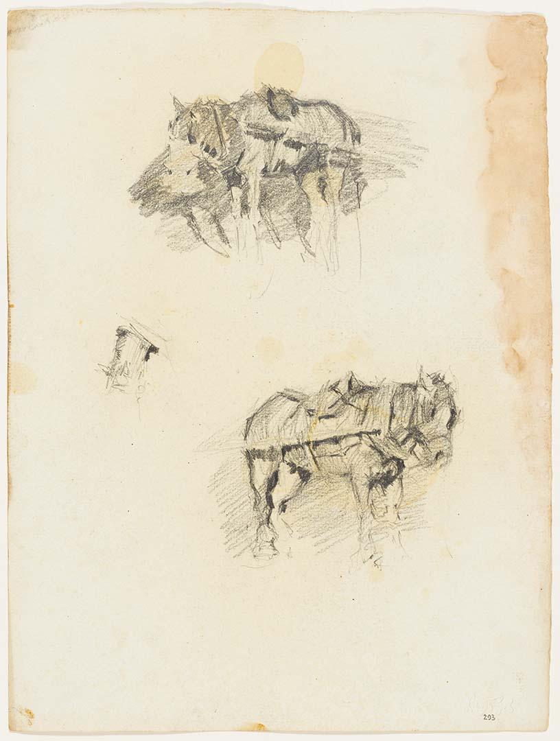 Artwork Two studies of a carthorse this artwork made of Pencil on paper, created in 1913-01-01