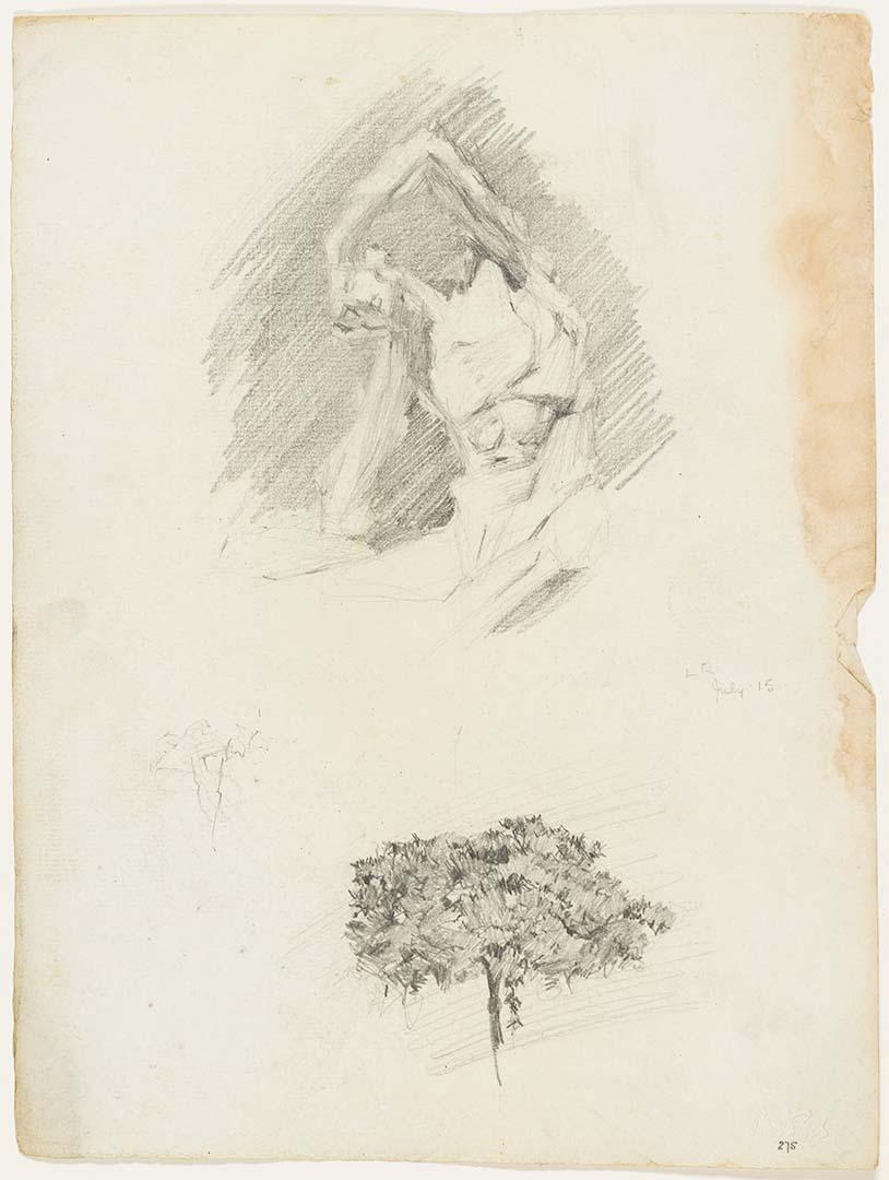 Artwork Écorché drawn from the cast; Tree this artwork made of Pencil on paper, created in 1915-01-01