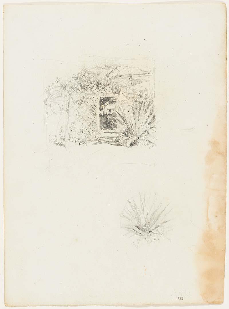 Artwork Garden path with lattice; Agave this artwork made of Pencil on paper, created in 1910-01-01