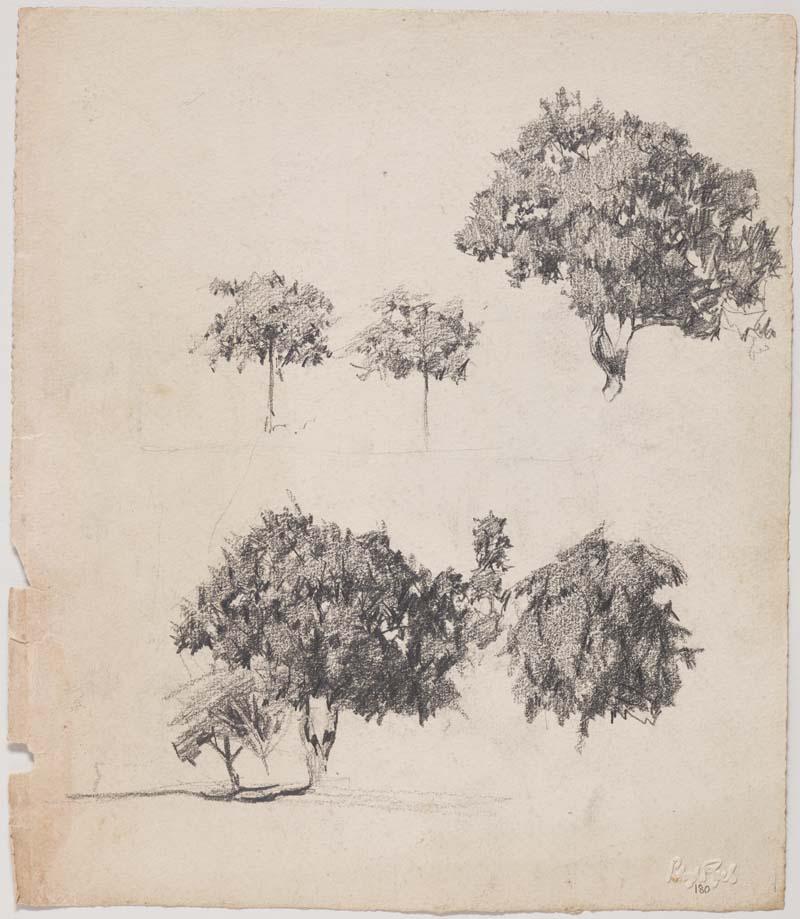 Artwork Tree studies this artwork made of Pencil on paper, created in 1910-01-01