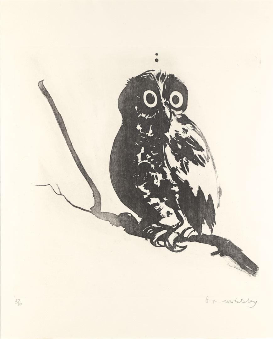 Artwork Startled owl this artwork made of Sugar-lift aquatint on paper, created in 1984-01-01
