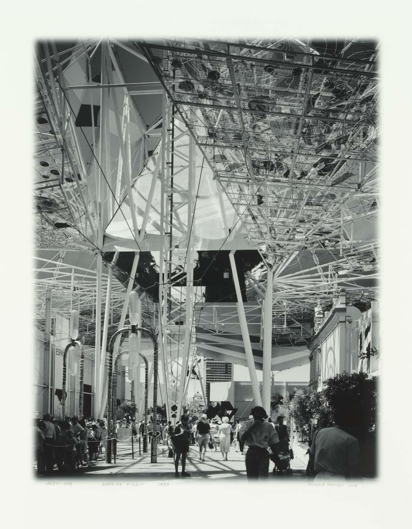 Artwork Expo 88 forest this artwork made of Black-and-white digital print