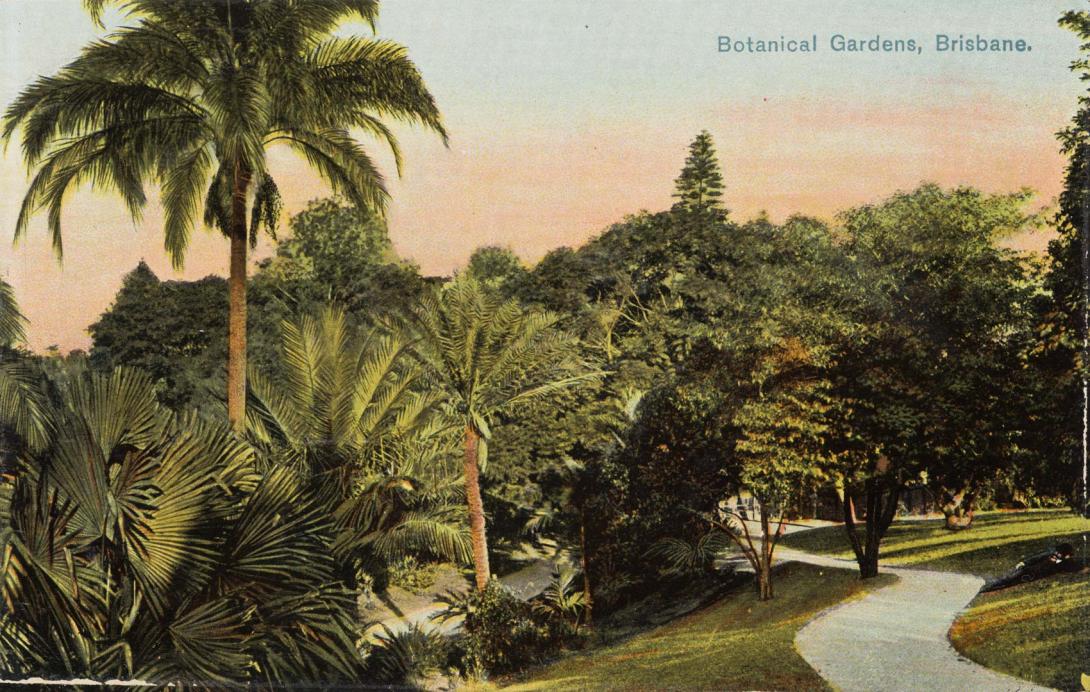 Artwork Botanical Gardens, Brisbane (from 'Coloured Shell Series: Queensland Views') this artwork made of Postcard: Colour lithograph on paper, created in 1890-01-01