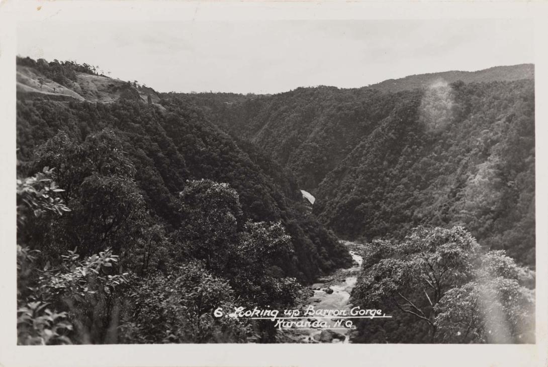 Artwork Looking up Barron Gorge, Kuranda, N.Q. this artwork made of Postcard: Black and white photograph on paper, created in 1905-01-01